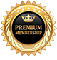 premium logo